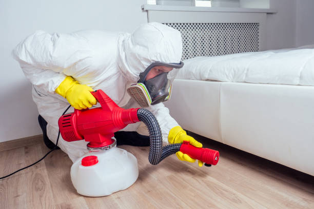 Real Estate Pest Inspections in Boston, MA